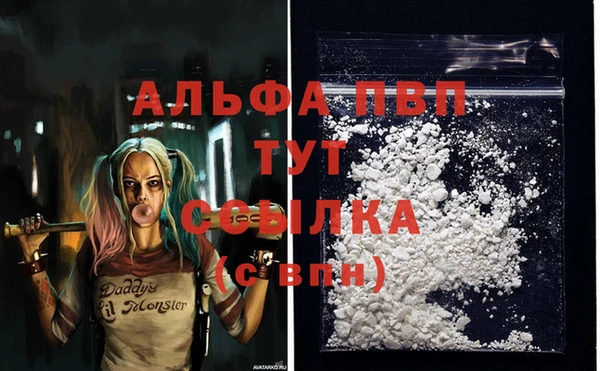 ПСИЛОЦИБИНОВЫЕ ГРИБЫ Лихославль