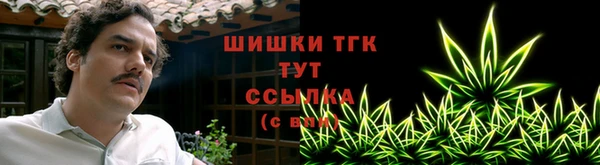 ПСИЛОЦИБИНОВЫЕ ГРИБЫ Лихославль