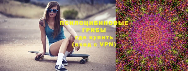 ПСИЛОЦИБИНОВЫЕ ГРИБЫ Лихославль