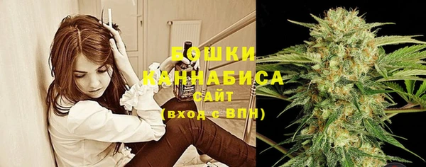 сатива Липки