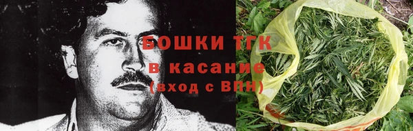сатива Липки