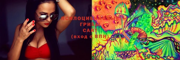 сатива Липки